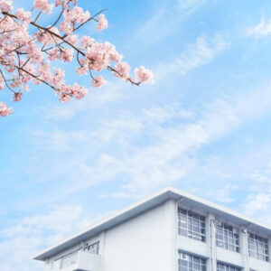 桜と学校の校舎